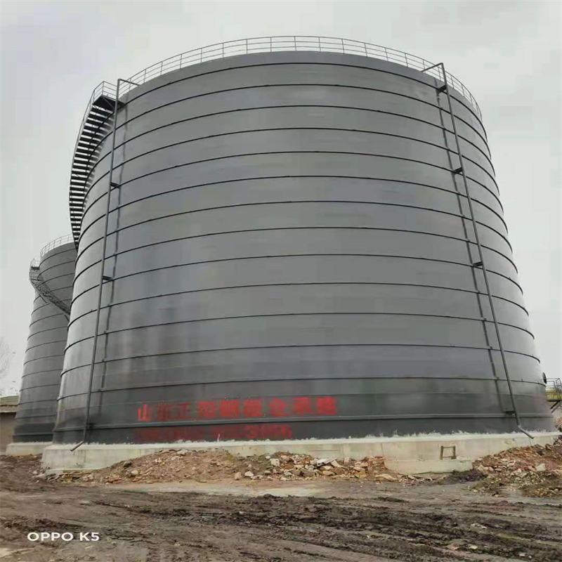 儋州3万吨大型钢板库