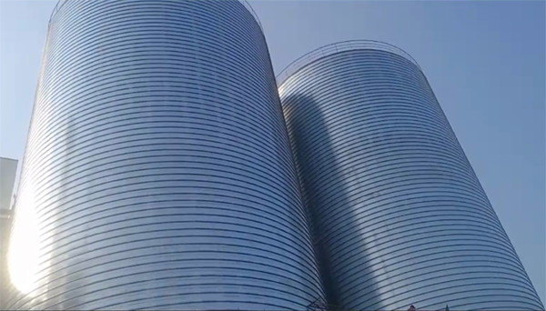 儋州2座混凝土高架卷板仓